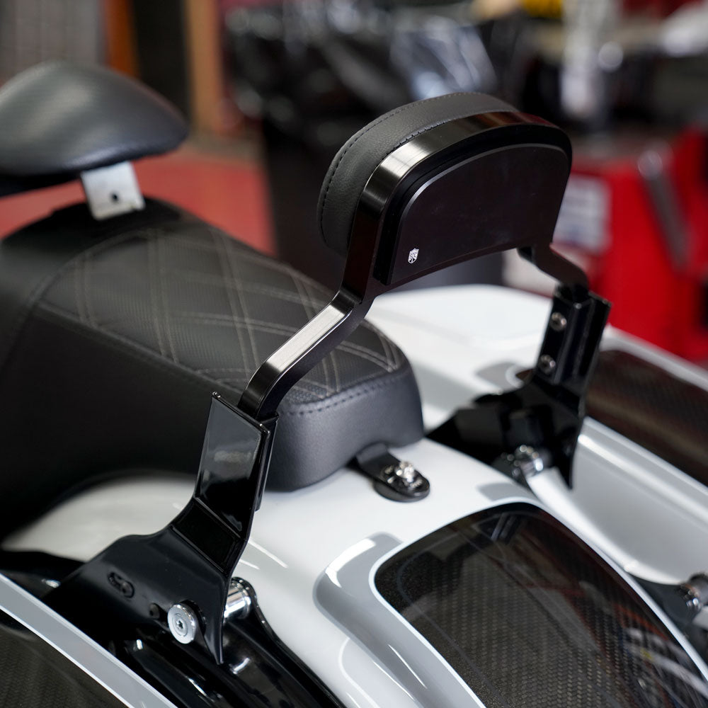 Bagger Sissy Bar – San Diego Customs